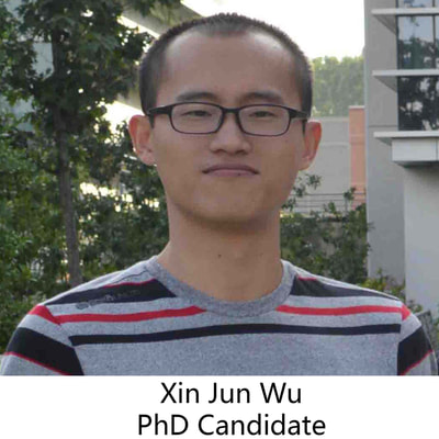 Xin Jun Wu